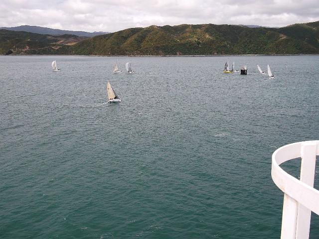 024 wellington harbour